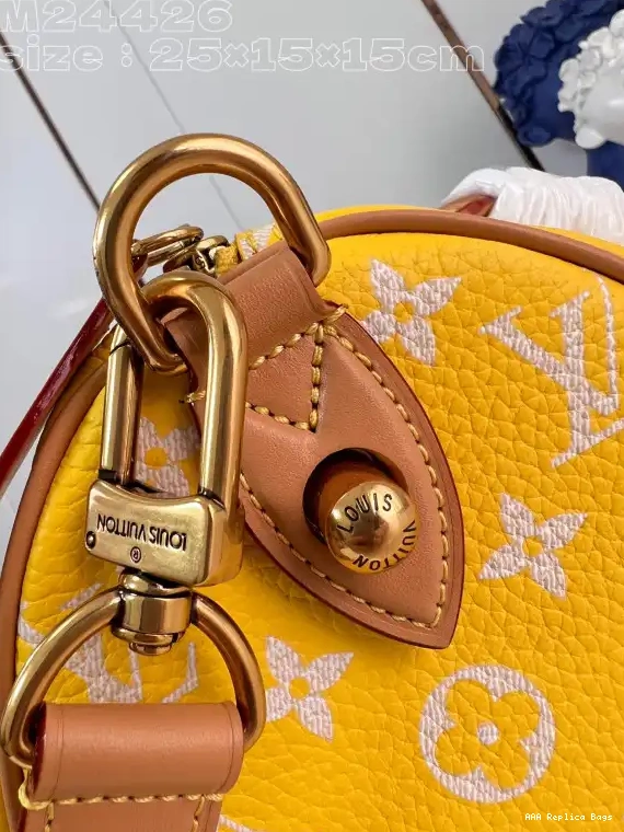 Aaa replica bags 25 Louis SPEEDY Vuitton 0529